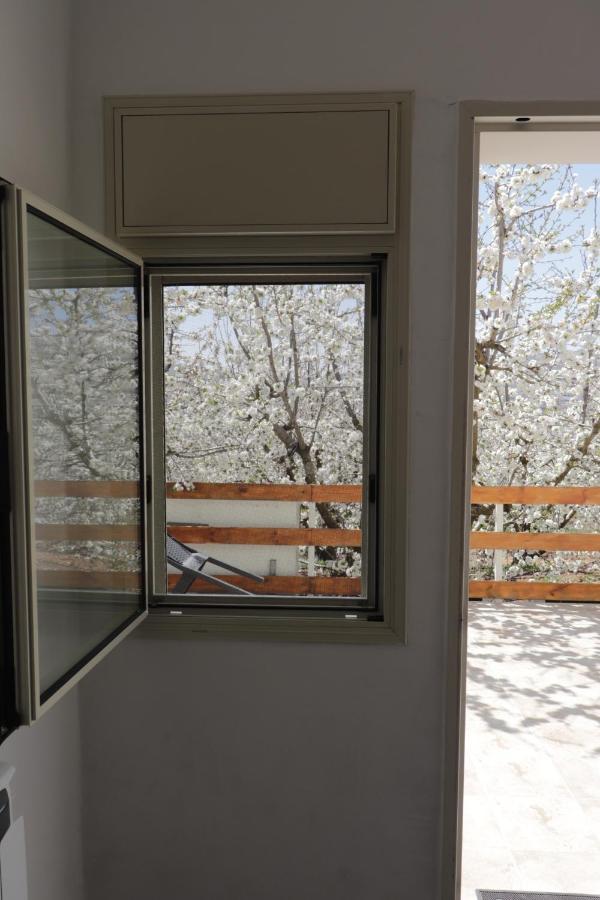 Oriental Nature Majdal Shams Exterior foto